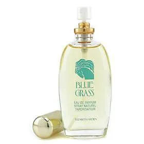 Elizabeth Arden Blue Grass Eau De Parfum 100ml
