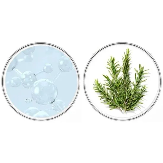 PHYTO Sebum Control Oil-Reducing Shampoo 250ml