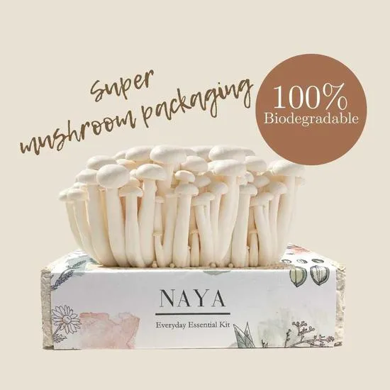 NAYA Everyday Essential Kit