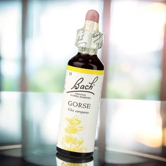 Bach Original Flower Remedies Gorse 20ml