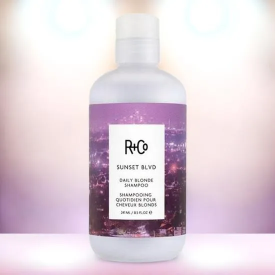 R+Co Sunset Blvd Daily Blonde Shampoo 241ml