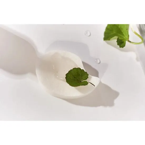 Haruharu Wonder Centella 3% PHA Gentle Liquid Exfoliating Serum 120ml