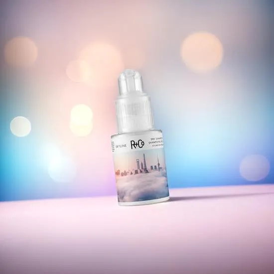 R+Co Skyline Dry Shampoo Powder 28g