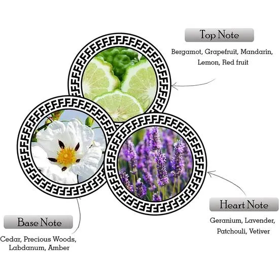 Armaf Ventana Pour Homme Eau De Parfum 100ml