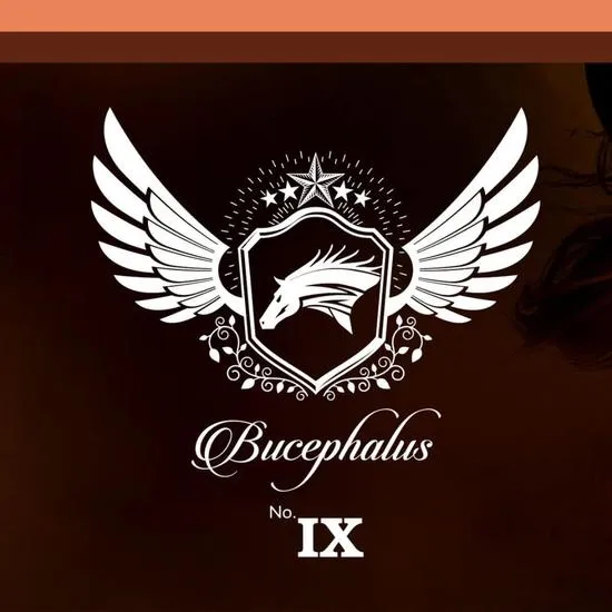 Armaf Bucephalus IX Eau De Parfum 100ml