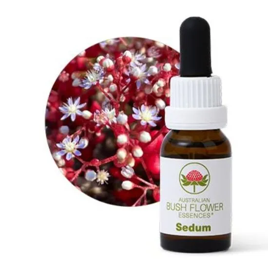 Australian Bush Flower Essences Sedum Essence 15ml
