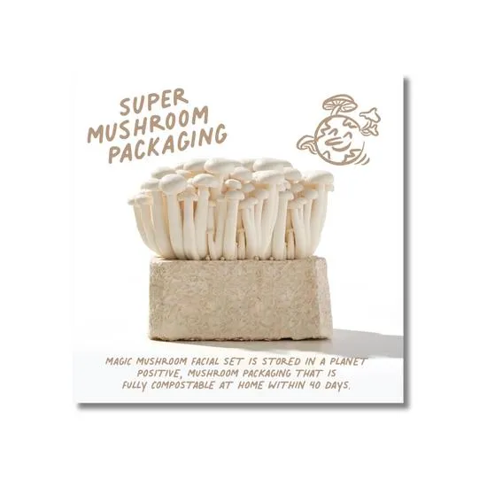 Oio Lab Magic Mushroom Facial Set: Supercharged Glow Serum & Calming Creamy Emulsion 2 x 30ml