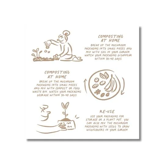 Oio Lab Magic Mushroom Facial Set: Supercharged Glow Serum & Calming Creamy Emulsion 2 x 30ml