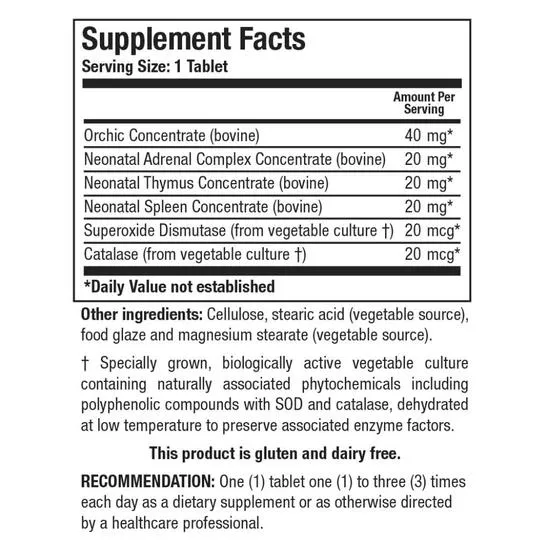 Biotics Research Cytozyme-M Tablets 60 Tablets