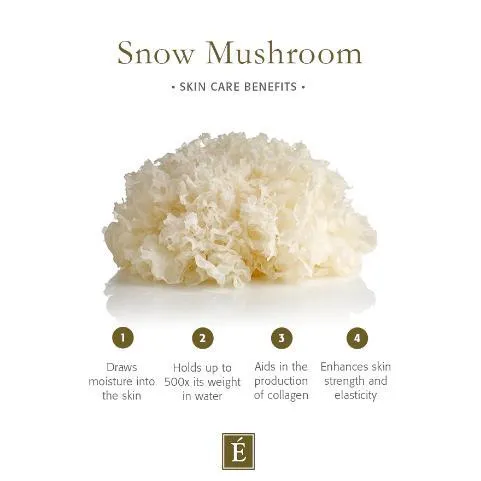 Eminence Organic Snow Mushroom & Reishi Masque 60ml