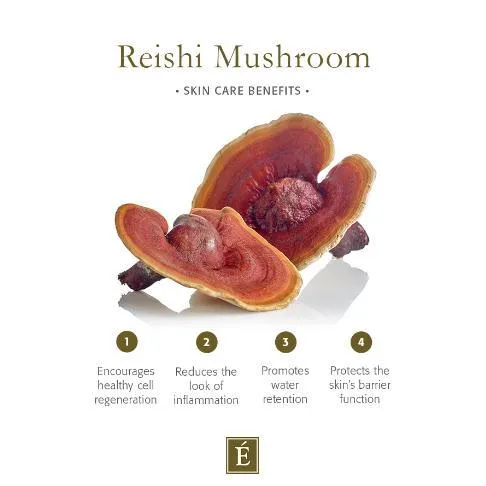 Eminence Organic Snow Mushroom & Reishi Masque 60ml