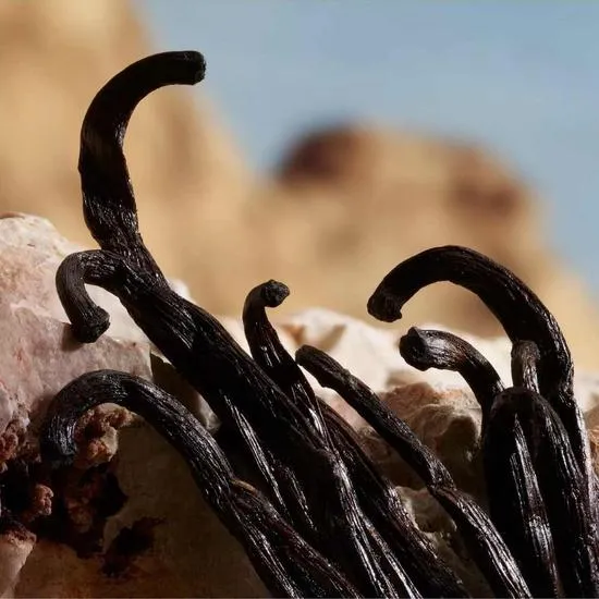 Dolce & Gabbana Q Parfum 50ml