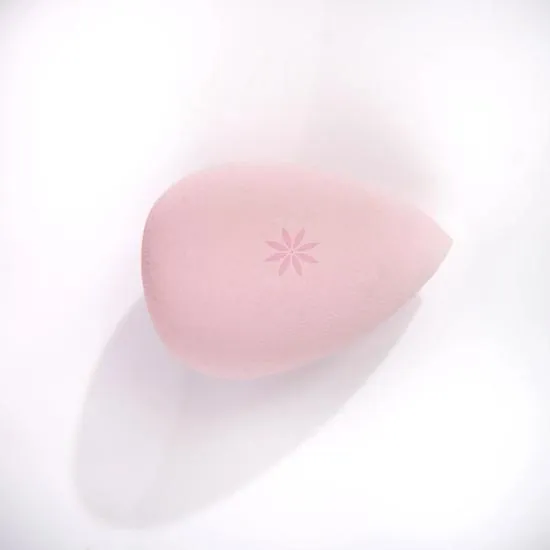 Brushworks Complexion Sponge