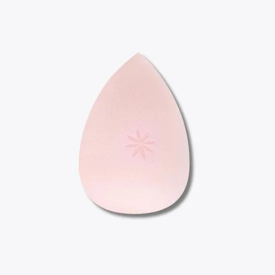 Brushworks Complexion Sponge