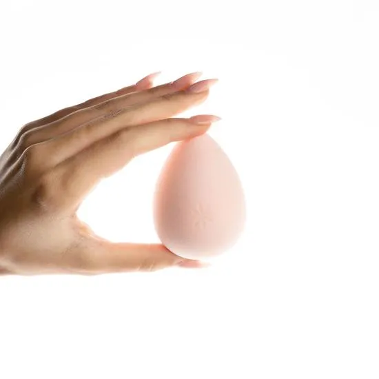 Brushworks Complexion Sponge