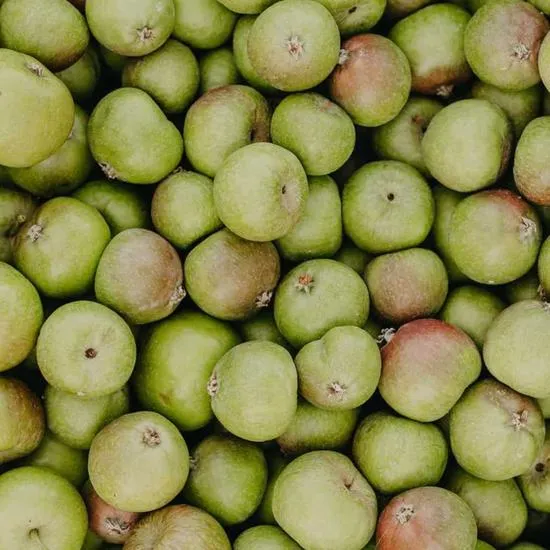 Rausch Anti-Pollution Spray 200ml