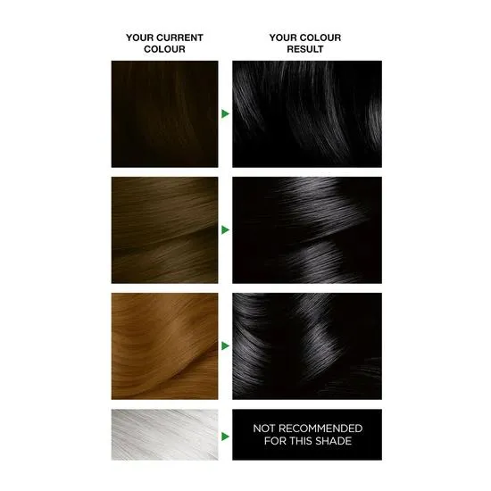 Garnier Nutrisse Ultra Colour Intense Permanent Colour 1.1 Infinite Black