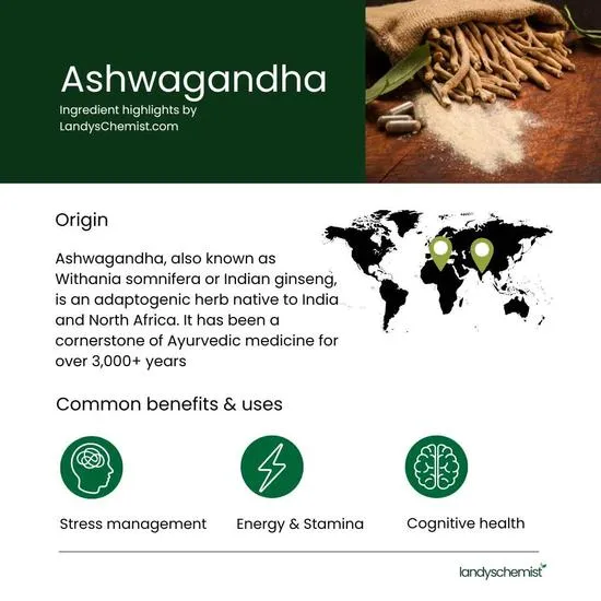 NOW Foods Ashwagandha Extract 450mg Capsules 90 Capsules