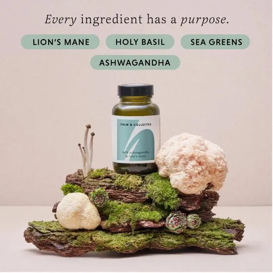 The Herbtender Calm & Collected Capsules 60 Capsules