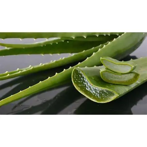 Strictly Professional Aloe Vera Gel 500ml