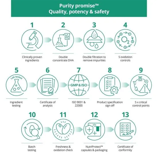 Brain Feed Omega-3 Plant-based DHA 500mg Softgels 30 Softgels