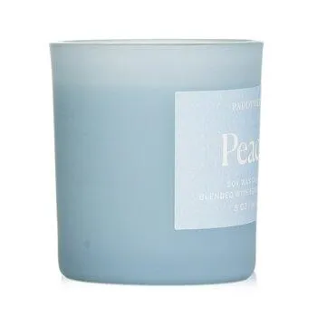 Paddywax Wellness Candle Peace 141g