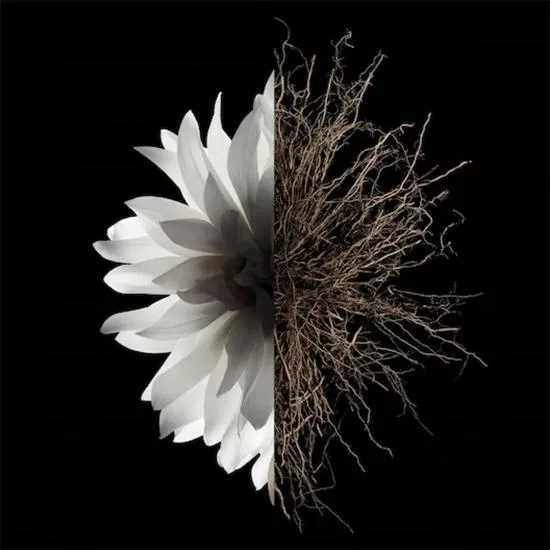 GIVENCHY L'Interdit Body Milk 200ml