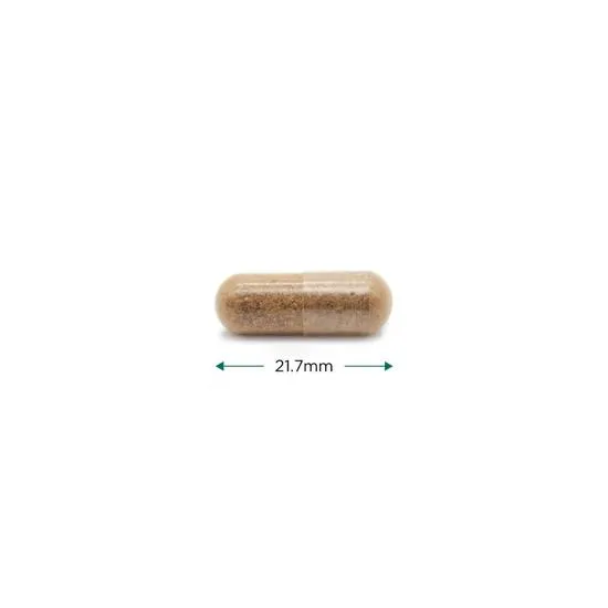 Cytoplan Wholefood Multi Capsules 60 Capsules