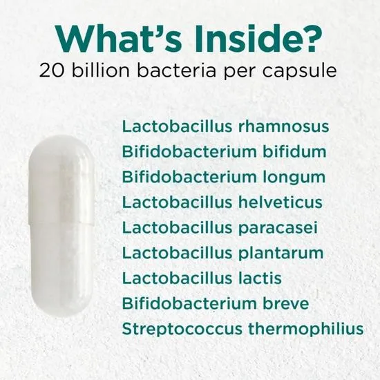 Cytoplan Recovery Biotic Capsules 60 Capsules