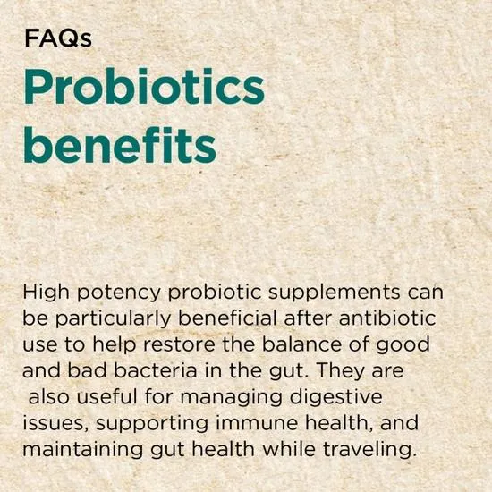 Cytoplan Recovery Biotic Capsules 60 Capsules