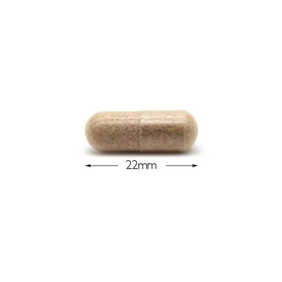 Cytoplan Psyllium Husk 700mg Capsules 120 Capsules