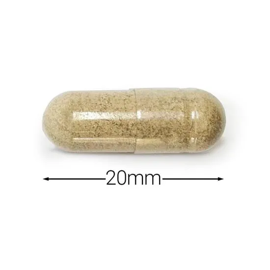Cytoplan Organic Lions Mane Capsules 60 Capsules