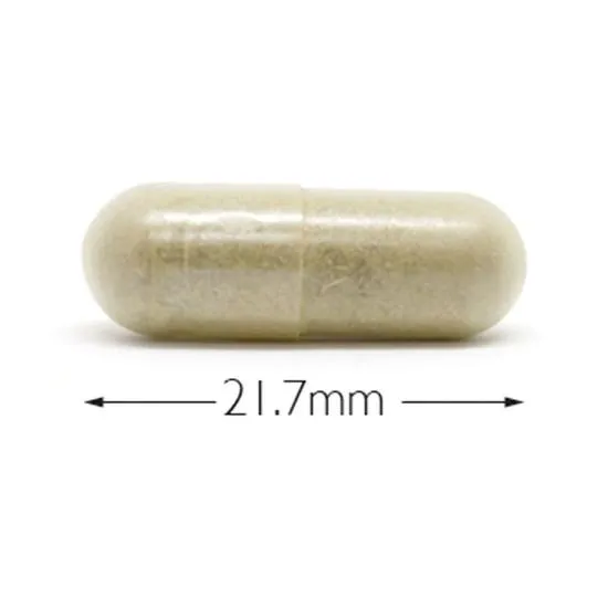 Cytoplan Bacopa Monnieri Capsules 60 Capsules
