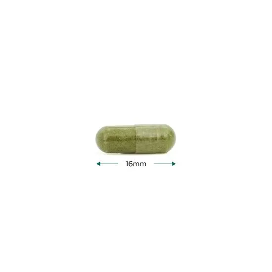 Cytoplan Iron Wholefood 10mg Elemental Capsules 60 Capsules