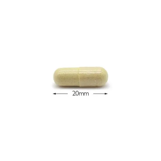 Cytoplan CytoProtect GI Tract Capsules 60 Capsules