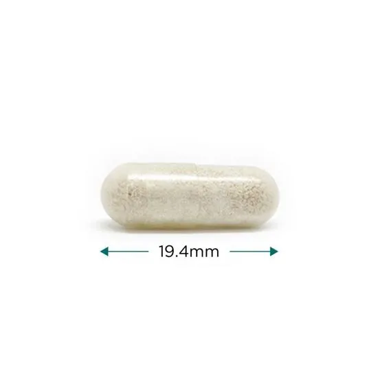 Cytoplan Saccharomyces Boulardii Capsules 120 Capsules