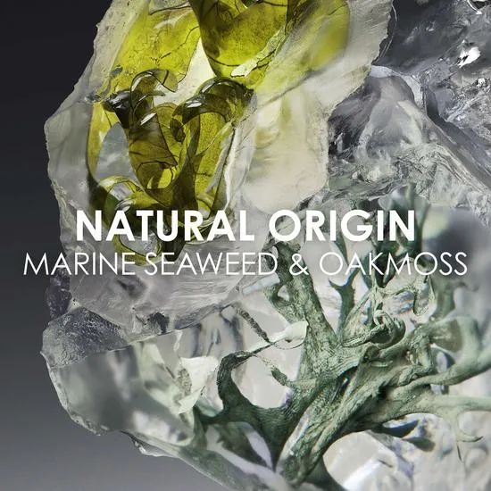 Issey Miyake Le Sel D'Issey Eau De Toilette 10ml