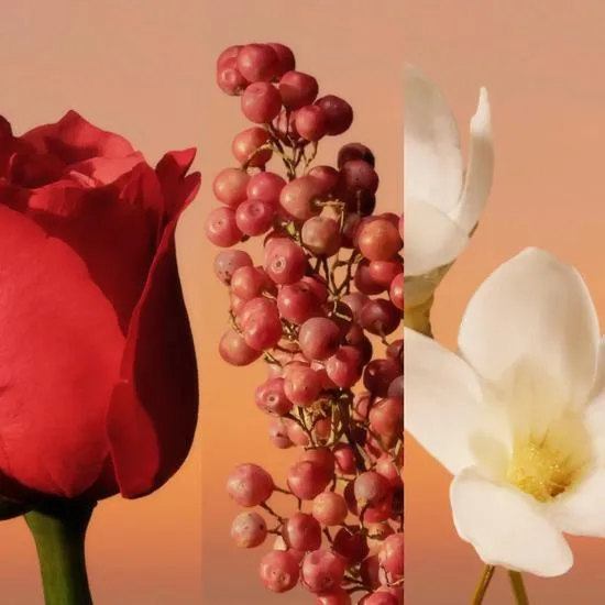 Calvin Klein Eternity Intense Eau De Parfum 50ml