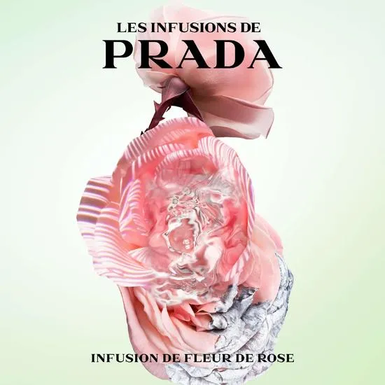 Prada Infusion De Rose Eau De Parfum 100ml