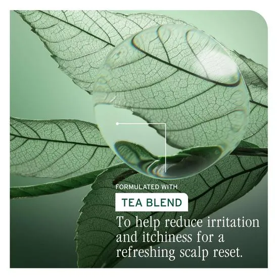 Biolage Scalp Sync Purifying With Gentle Exfoliating Scalp Concentrate 200ml