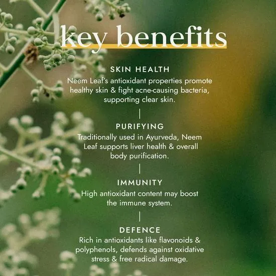 Fushi Organic Neem Leaf x 60 Capsules