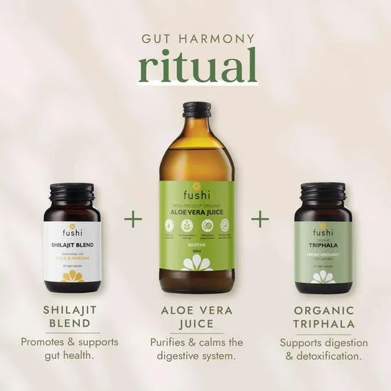 Fushi Natural Energy Supplements Shilajit Blend 60 Capsules