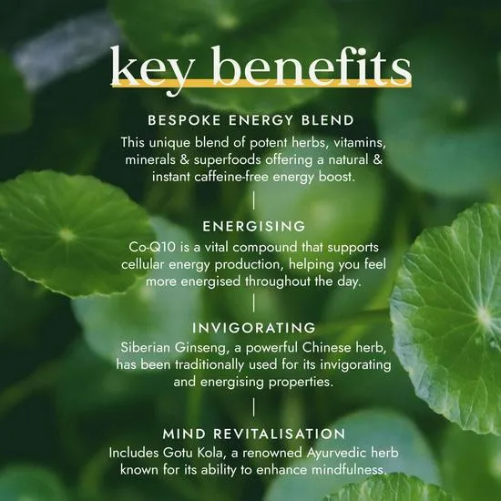 Fushi Herbal & Vitamin Blends Energiplex 60 Capsules