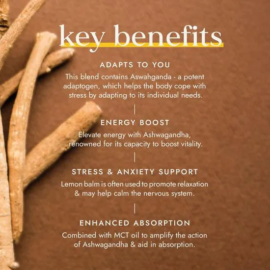 Fushi Herbal & Vitamin Blends Ashwagandha With Vegan MCT Extract 60 Capsules