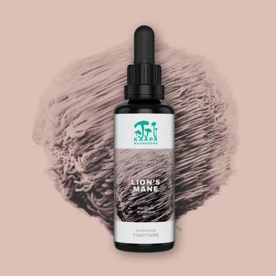 Kaapa Mushrooms Lion's Mane Tincture 50ml