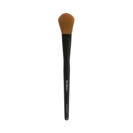 Stargazer Makeup Brush 11. Applicator