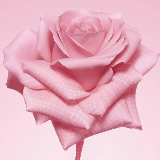 Pat McGrath Labs Divine Skin: Rose 001 The Essence 100ml