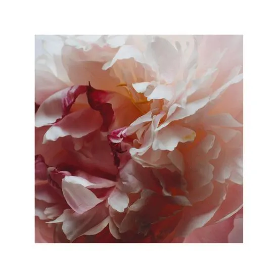 Jo Malone London Peony & Blush Suede Body Creme 175ml