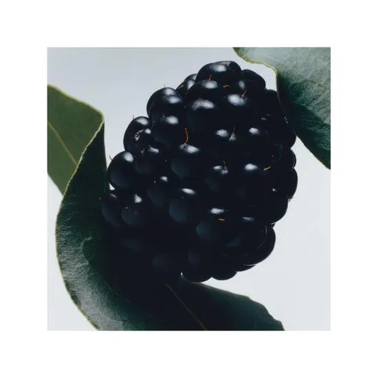 Jo Malone London Blackberry & Bay Cologne 30ml