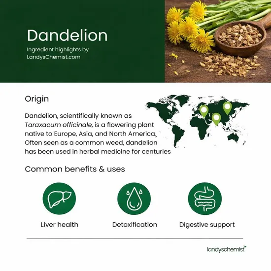 Botanicals4Life Botanicals For Life Organic Dandelion Root Extract 50ml